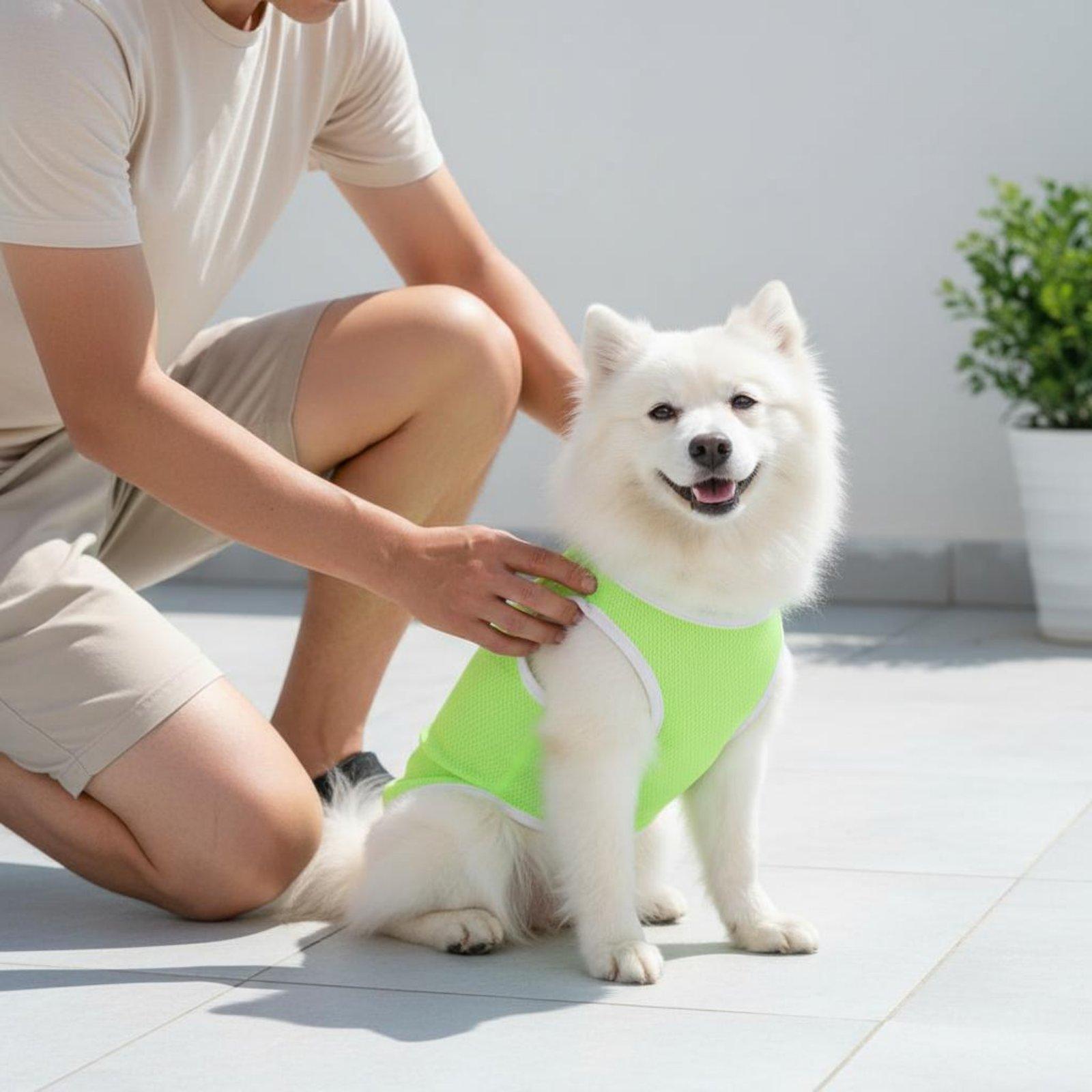 Köpekler için Pet Mesh Yelek,  - Outdoor Adventure Vest incelemesi ve fiyatı