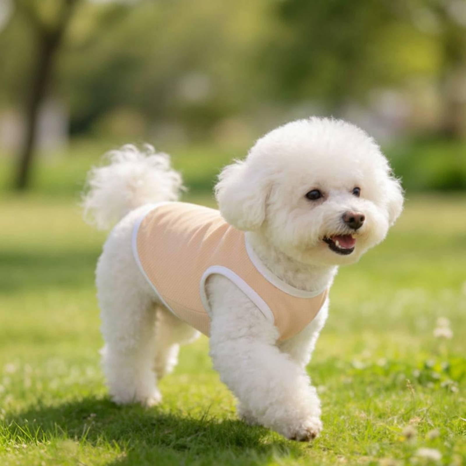 Köpekler için Pet Mesh Yelek,  - Outdoor Adventure Vest incelemesi ve fiyatı